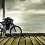 Cycling on the Shore